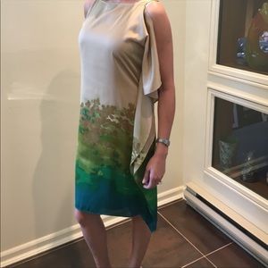 Calvin Klein champagne/green-blue shift